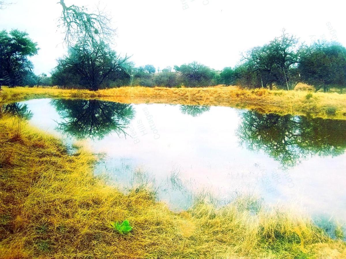Teich Hutte Pond Cottage Rocky Hill Luaran gambar